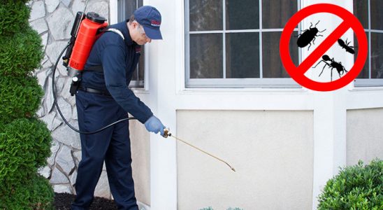 Esenyurt Bit İlaçlama böcek ilaçlama ve haşere kontrolü — ilaclama-tr.com